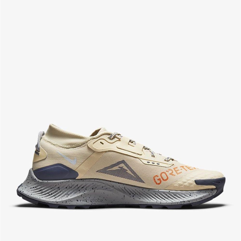 Мужские кроссовки Nike Pegasus Trail 3 GTX - DC8793-200 в интернет